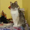 Отзыв от Лена Глухова